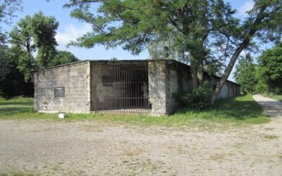 Falkensee Concentration Camp: History, Prisoners, Forced Labor & Memorial Site