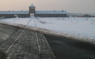 What Can I Expect During a Visit to the Concentration Camp in Berlin?