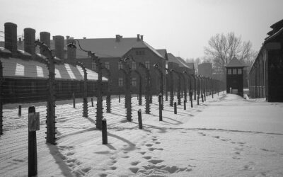 Why should you consider an Auschwitz Concentration Camp Tour from Berlin?
