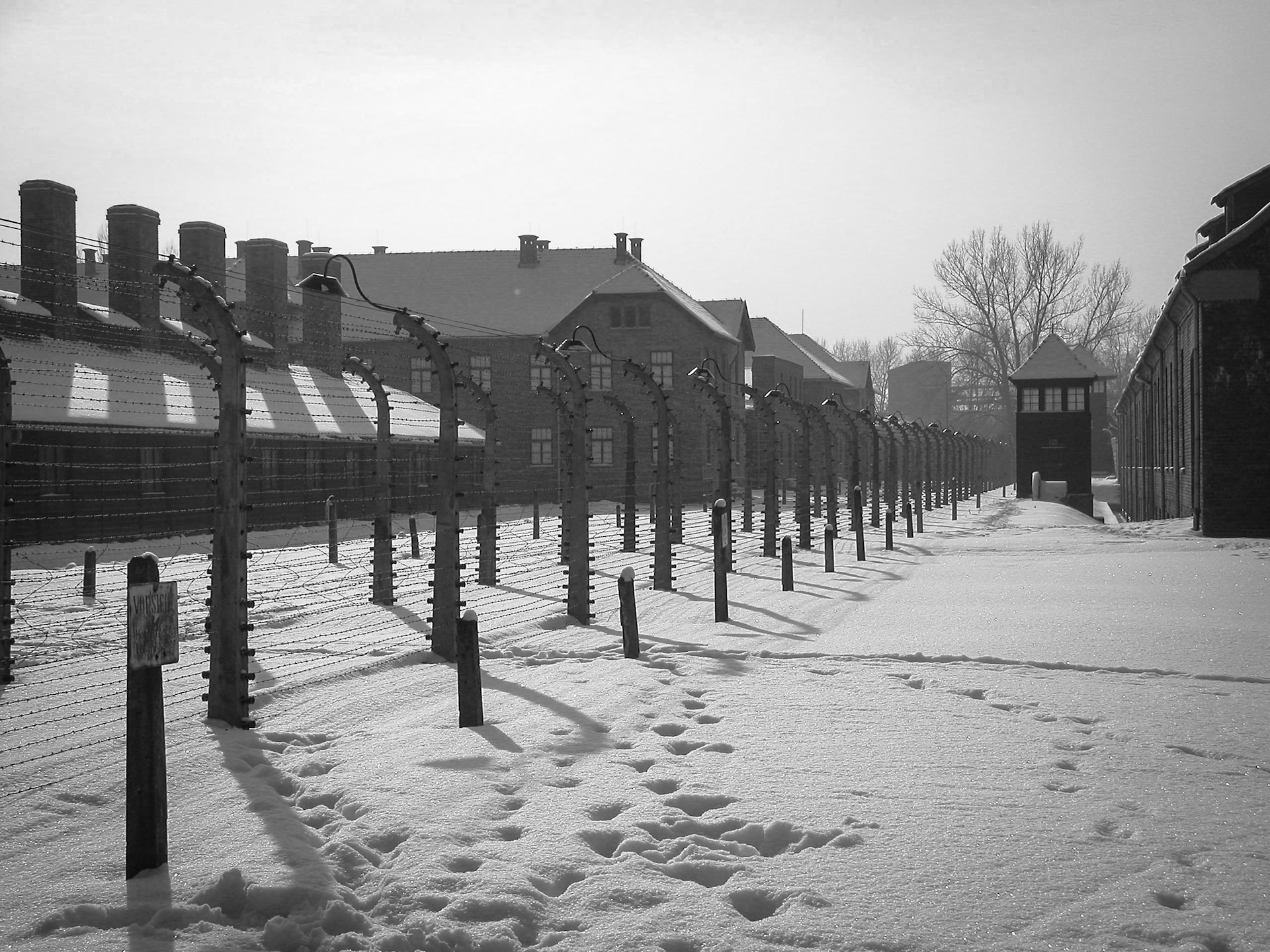 What can you discover at Campo Sachsenhausen?