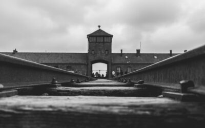 What are Entradas Sachsenhausen and How to Make the Most of Your Visit?