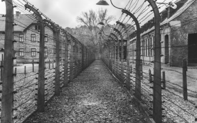 Que devez-vous savoir sur la visite de Sachsenhausen en français ?