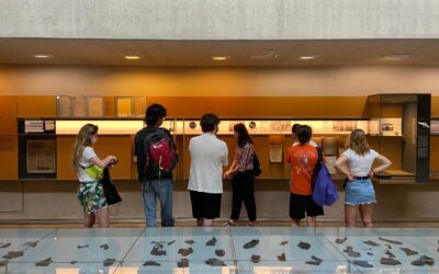 Visitor Information Center Sachsenhausen: What You Should Know Before You Go