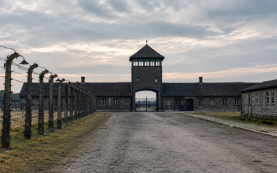Why Sachsenhausen Became a Model Concentration Camp for the SS